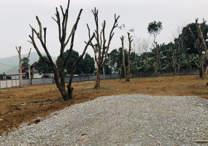 Nhượng lại quyền sử dụng  2200m2 đất khuôn viên hoàn thiện, tại Hợp Hòa, Lương Sơn, Hòa Bình.