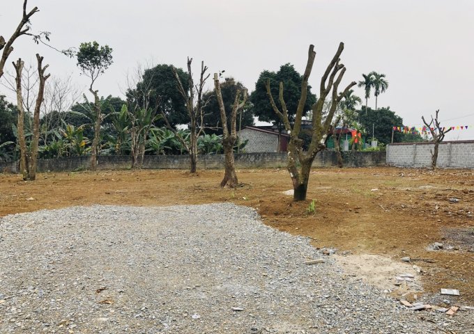 Nhượng lại quyền sử dụng  2200m2 đất khuôn viên hoàn thiện, tại Hợp Hòa, Lương Sơn, Hòa Bình.