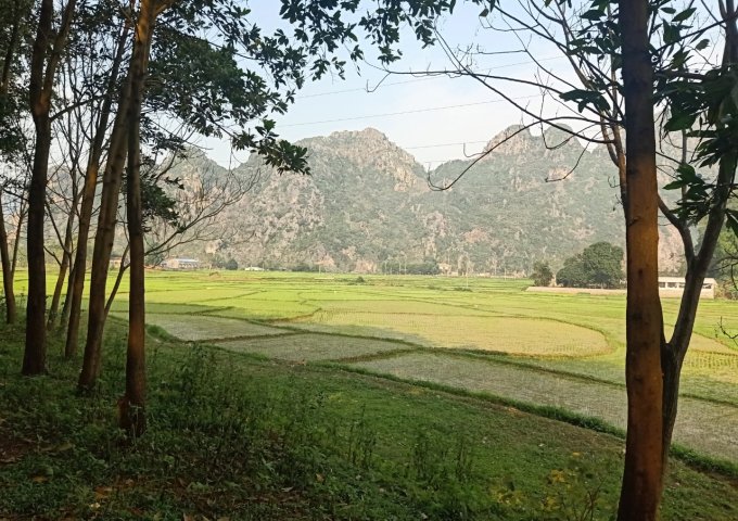 Cần bán gấp lô đất 3.2ha (32.000m2) làm trang trại tuyệt đẹp Tại Trung Sơn – Lương Sơn – Hòa Bình.