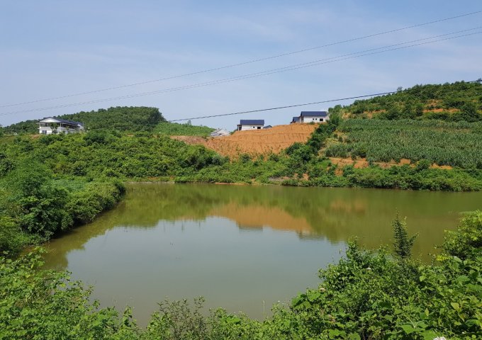 Bán đất Lương Sơn, Hòa Bình, 2500m2 có ao, có suối bám đất, giá chỉ hơn 1 tỷ.
