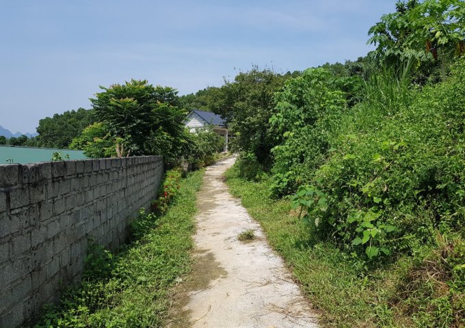 Bán đất Lương Sơn, Hòa Bình, 2500m2 có ao, có suối bám đất, giá chỉ hơn 1 tỷ.