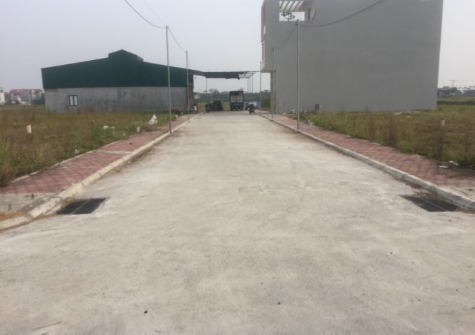 Chính chủ Bán đất đấu giá Dân hòa thị trấn vác huyện thanh oai hà nội