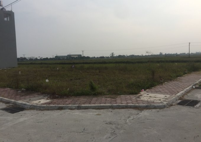 Chính chủ Bán đất đấu giá Dân hòa thị trấn vác huyện thanh oai hà nội