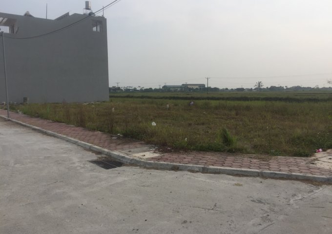 Chính chủ Bán đất đấu giá Dân hòa thị trấn vác huyện thanh oai hà nội