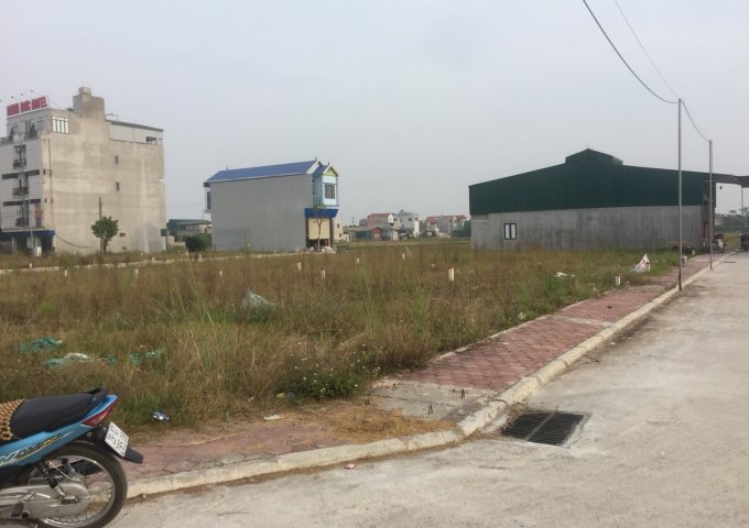 Chính chủ Bán đất đấu giá Dân hòa thị trấn vác huyện thanh oai hà nội