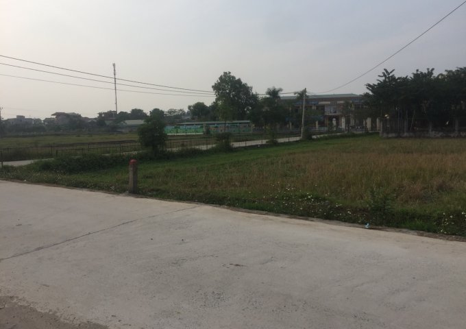 Chính chủ Bán đất đấu giá Dân hòa thị trấn vác huyện thanh oai hà nội