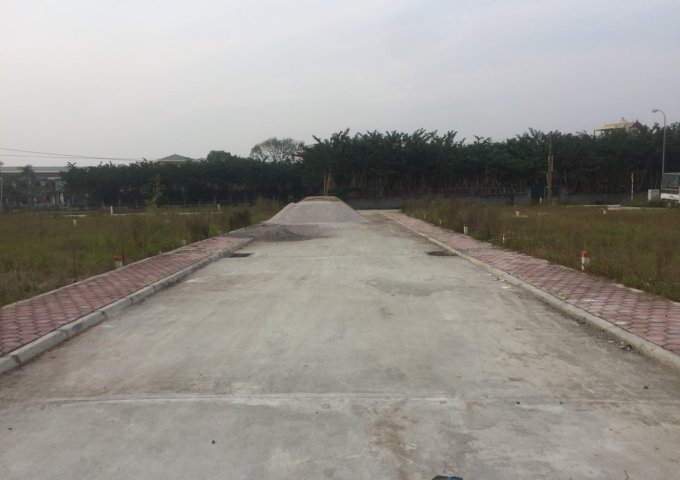 Chính chủ Bán đất đấu giá Dân hòa thị trấn vác huyện thanh oai hà nội