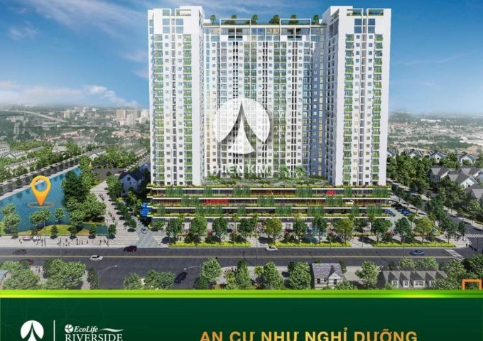 Lộ diện CH view sông Ecolife Riverside, chuẩn xanh quốc tế đầu tiên tại Quy Nhơn. LH: 0903 555 443