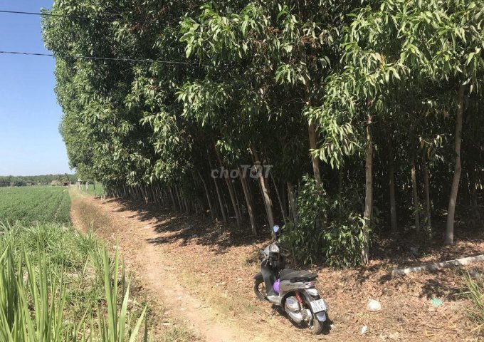 Cần Bán Đất Mặt Tiền Quốc Lộ 22B  Xã Trà Vong, Huyện Tân Biên, Tây Ninh