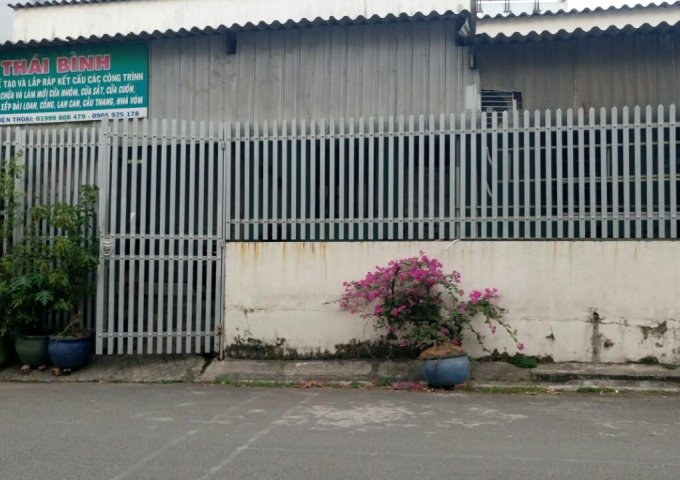 CHÍNH CHỦ CẦN BÁN NHÀ PHƯỜNG AN BÌNH, THÀNH PHỐ BIÊN HÒA, , ĐỒNG NAI