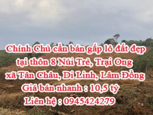 Chính Chủ cần bán gấp lô đất đẹp tại thôn 8 Núi Trẻ, Trại Ong xã Tân Châu, huyện Di Linh, tỉnh Lâm Đồng