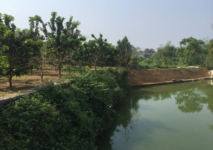 Tuyệt phẩm nhà vườn CHương Mỹ, Hà Nội. 2700m2 có suối, có ao, giá rẻ giật mình.
