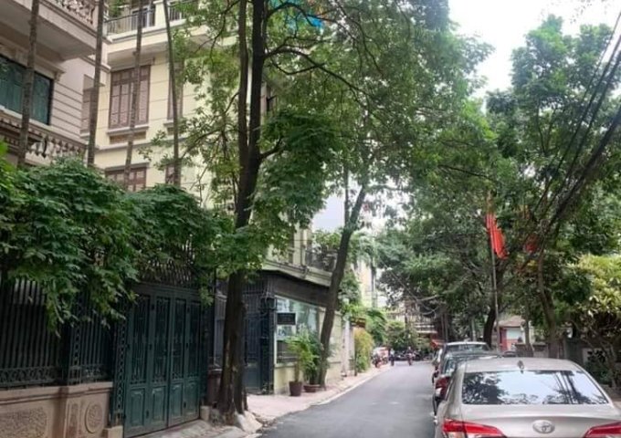 MẶT PHỐ Trần Tử Bình 100 m2, Giá  21.5 tỷ, Cầu Giấy, LÔ GÓC, KINH DOANH, VỈA HÈ RỘNG. 