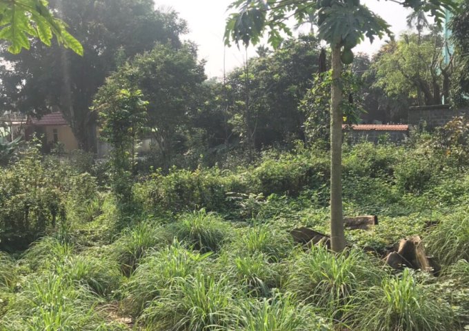 Bán đất nhà vườn Lương Sơn, Hòa Bình, hơn 1000m làm nhà vườn, giá rẻ.