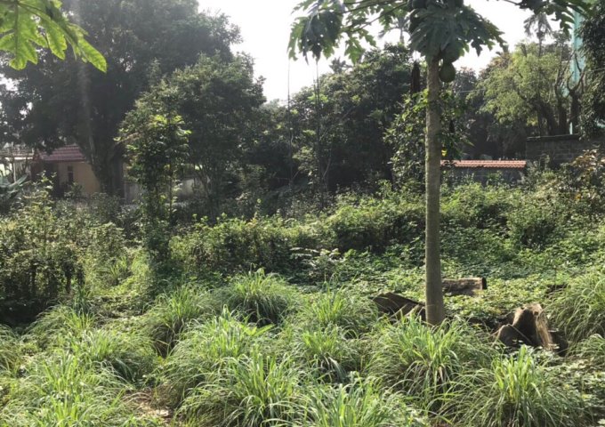 Bán đất nhà vườn Lương Sơn, Hòa Bình, hơn 1000m làm nhà vườn, giá rẻ.