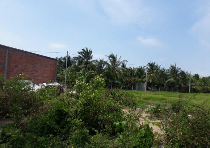 Bán đất QL 50 gần Quảng Trường Mỹ Tho SHR, thổ cư 100% 