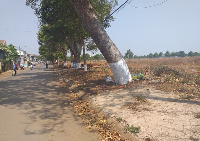 Bán đất tại Dự án Thành Phố Cà Phê, Buôn Ma Thuột,  Đắk Lắk diện tích 107m2  giá 1,400,000,000 Tỷ