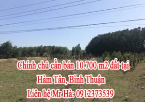 Chính chủ cần bán đất tại Hàm Tân, Bình Thuận