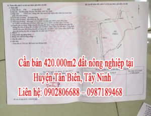 Cần bán đất nông nghiệp ở Huyện Tân Biên, Tây Ninh