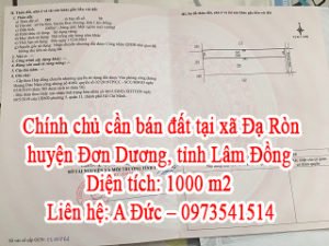 Chính chủ cần bán đất tại xã Đạ Ròn, huyện Đơn Dương, tỉnh Lâm Đồng