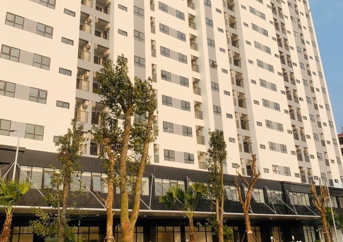 Căn hộ chung cư 29 tầng Hoàng Huy Lạch Tray