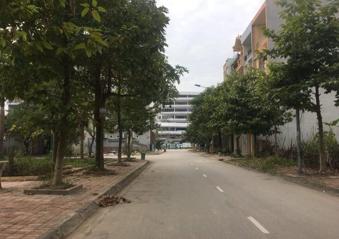 Bán đất nền dự án tại Khu Đô Thị An Huy,  Bắc Ninh diện tích 196m2