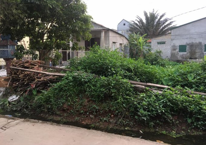 Bán đất tại Đường 9, Đông Hà,  Quảng Trị diện tích 89m2  giá 335 Triệu