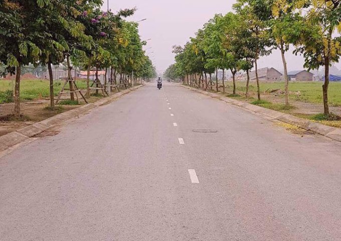 Chính chủ cần bán ô đất đã có sổ tại KĐT Nam Vĩnh Yên