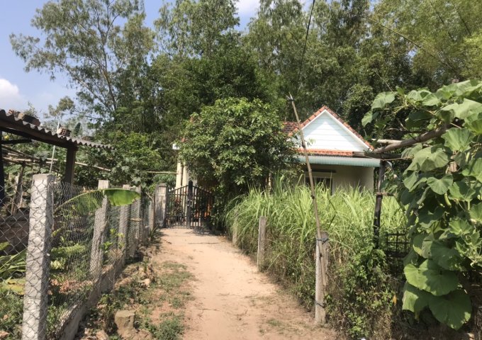 Bán đất tại Xã Bình Hiệp, Bình Sơn,  Quảng Ngãi