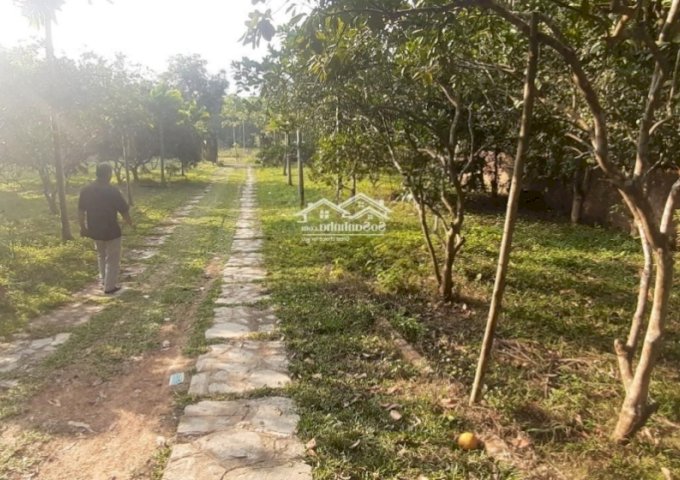 Bán gấp 3600m2 400m2 thổ khuân viên nhà vườn hoàn thiện rẻ nhất Thị Xã Lương Sơn lh : 0987757698