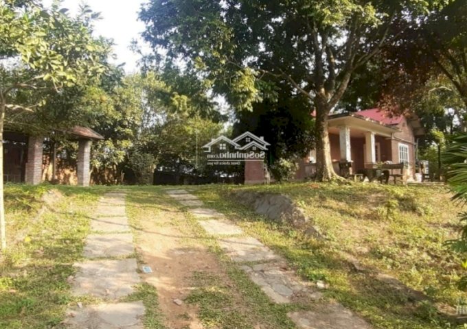 Bán gấp 3600m2 400m2 thổ khuân viên nhà vườn hoàn thiện rẻ nhất Thị Xã Lương Sơn lh : 0987757698
