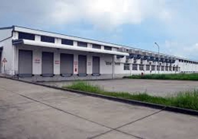 Cho thuê xưởng may 12.000m2 tại TP Hải Dương, cụm CN Thạch Khôi