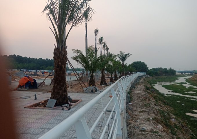 Bán đất nền dự án tại Đường ĐT 742, Phú Chánh, Tân Uyên, Bình Dương diện tích 133m2 giá 15tr,m2