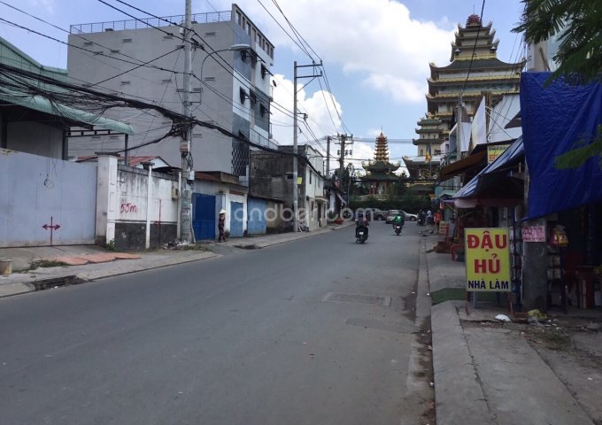Đất - Cây keo - Phường Tam Phú, Quận Thủ Đức, TP.HCM.