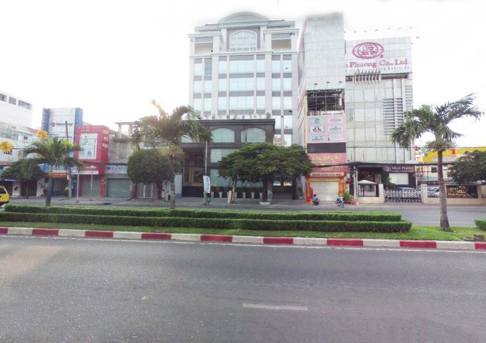 Cho thuê Building mặt tiền Trường Sơn, Phường 4, Tân Bình