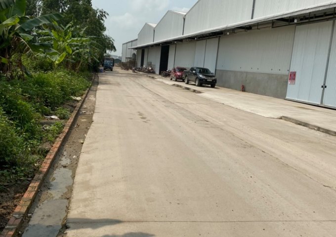 Minh Việt Group cần cho thuê kho xưởng DT từ 500m tại đường 379, Văn Giang, Hưng Yên cách Ecopark 2km