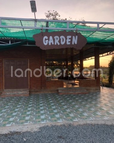 Cần bán vườn bưởi, thanh long giá rẻ tại thị xã Lagi, Bình Thuận.