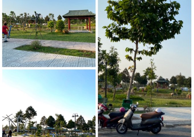 Bán đất TP CẦN THƠ tại Đường Đông Bình - Đông Thành, Bình Minh,  Vĩnh Long diện tích 112m2  giá 650 Triệu
