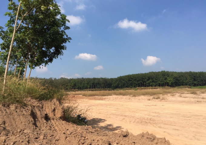 Bán 10 ha( 100.000m2) đất xây xưởng tại xã Thanh Tuyền, Dầu Tiếng, Bình Dương.