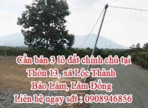 Cần bán 3 lô đất chính chủ tại Thôn 13, xã Lộc Thành, Bảo Lâm, Lâm Đồng