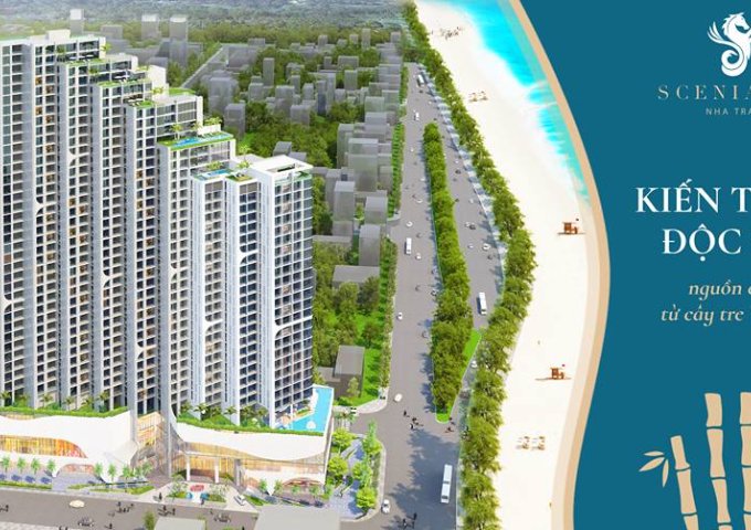 Cần tài chính gấp nên bán cắt lỗ căn hộ mặt biển, sổ đỏ vĩnh viễn dự án Scenia Bay Nha Trang. 