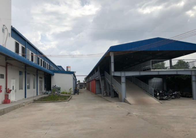 Cho thuê xưởng mới xây 11.000m2, nằm trong KCN Mỹ Phước, Bình Dương. 