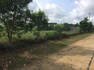 Chính chủ cần bán lô đất tại Sơn Long, Sơn Định, huyện Sơn Hoà, tỉnh Phú Yên