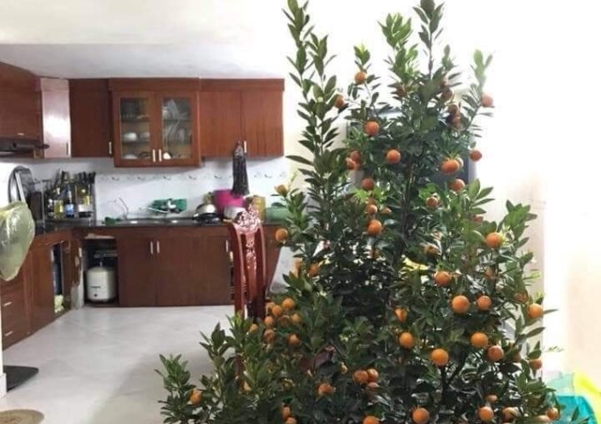 Bán gấp nhà Bắc Cầu 35m2 4T MT4.5m thiết kế siêu chắc chắn 1.95 tỷ