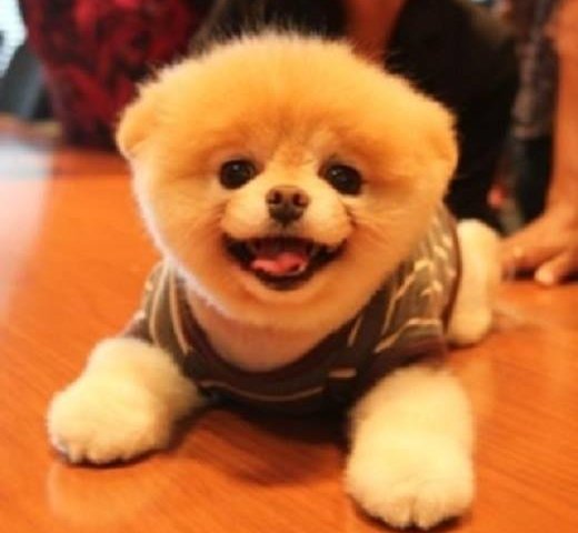 CHO THUÊ PHÒNG  Phố Sài Đồng 1.8 triệu.