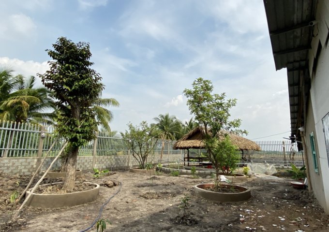 Bán đất vườn mặt tiền Kinh 10, Lê Minh Xuân, Bình Chánh.