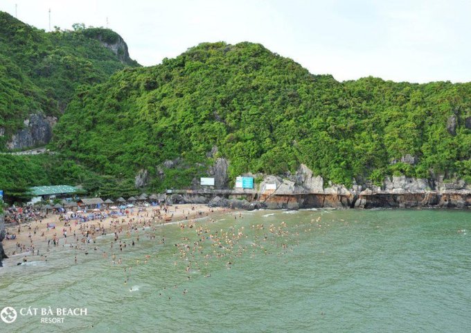 Flamingo Cát Bà Bảng giá tháng 5/2020 Chiết khấu 48%. Resort 5* tuyệt đẹp ôm trọn vịnh Lan Hạ