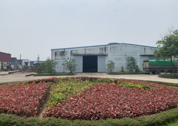 Cho thuê kho xưởng tại mặt QL5, Hưng Yên, Mỹ Hào 1500m, 3000m (Có Ảnh)