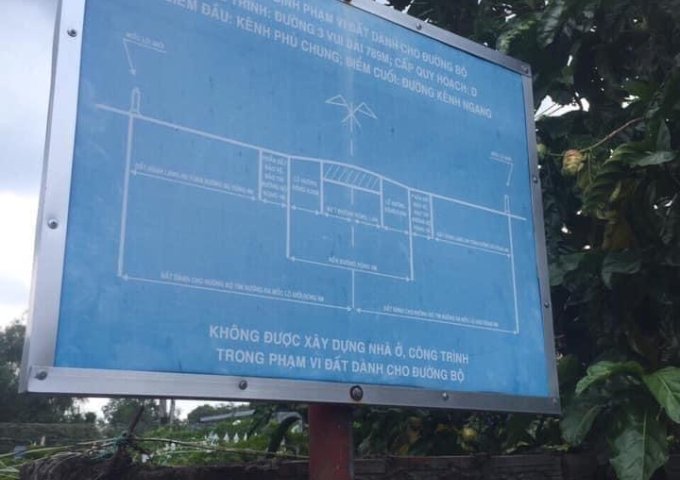 Bán đất tại Xã Tam Hiệp, Châu Thành,  Tiền Giang diện tích 1000m2  giá 650 Triệu