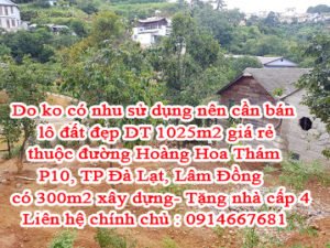 Do ko có nhu sử dụng nên cần bán lô đất đẹp giá rẻ thuộc đường Hoàng Hoa Thám, P10, TP Đà Lạt, Lâm Đồng
